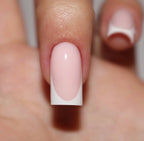 Tea Rose