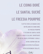 Brume Sweetest Dream