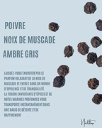Brume Lock It Down
