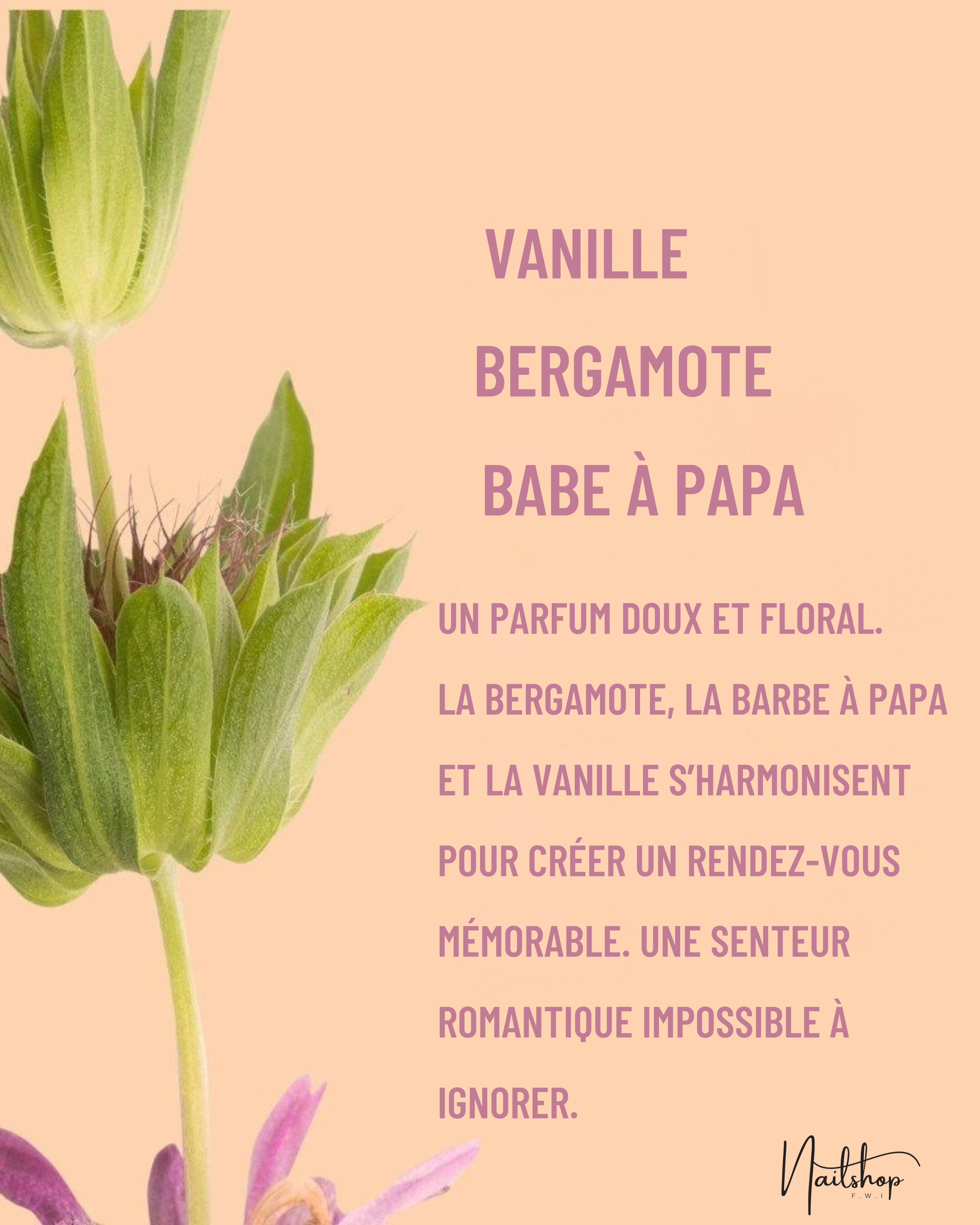 Brume Secret Crush